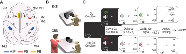 Figure 1