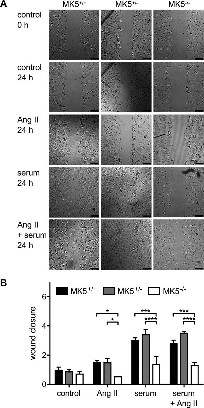 Fig. 8.