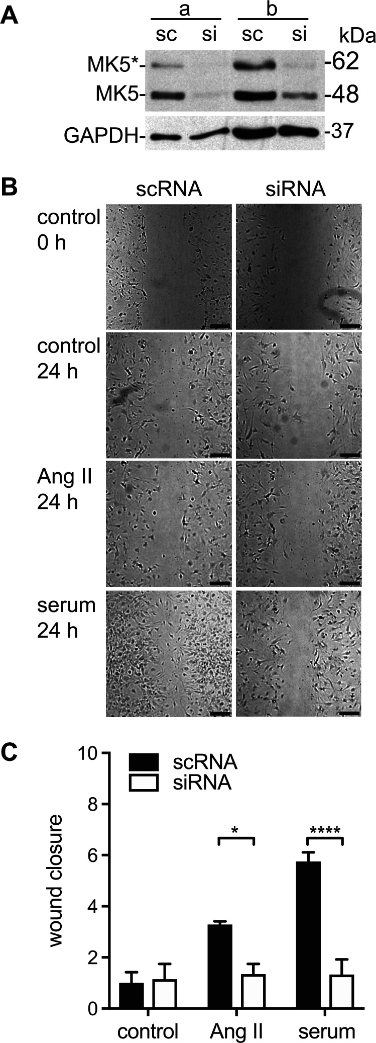 Fig. 9.