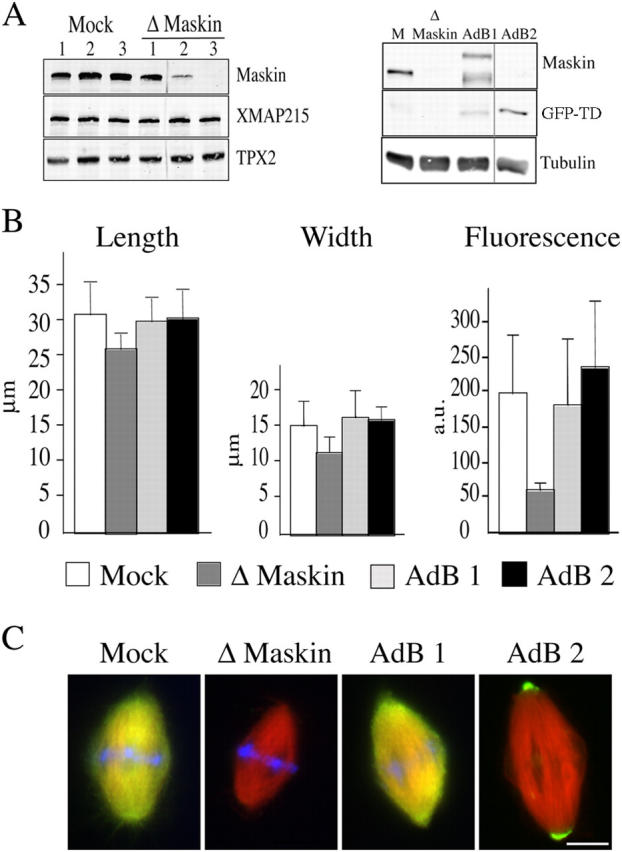 Figure 2.