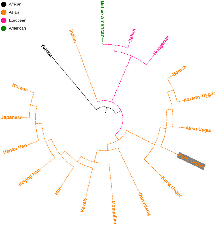 FIGURE 4