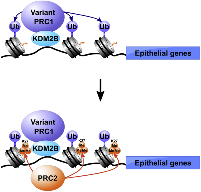 Figure 7