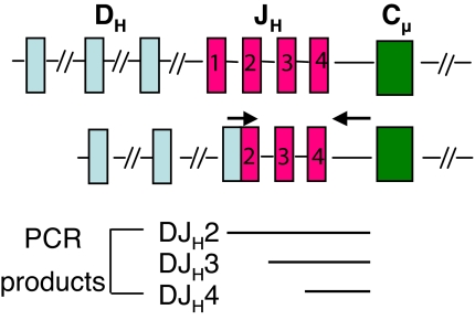 Fig. 2.