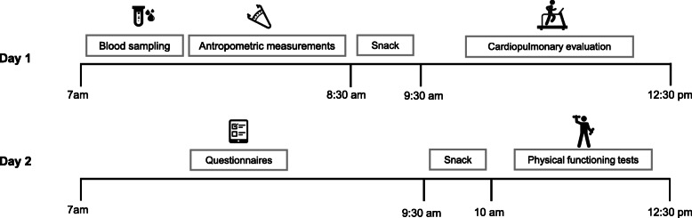 Fig. 3