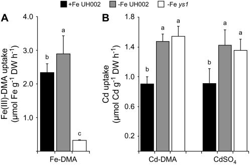 Figure 7.