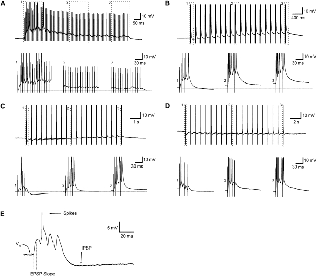 Figure 6.