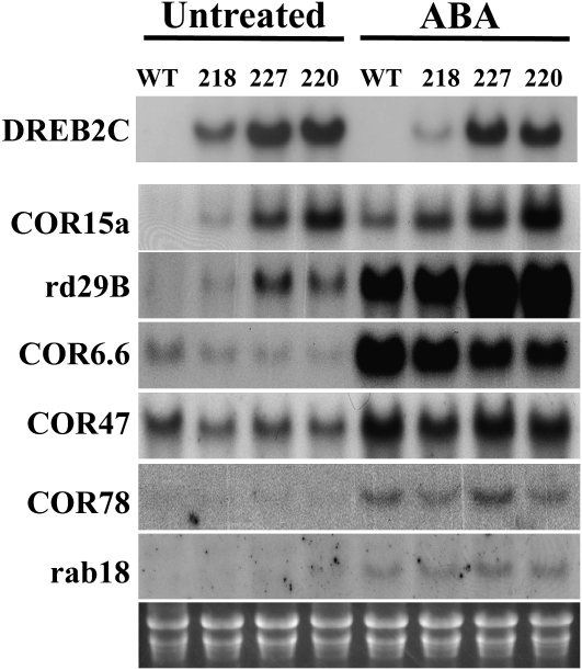 Figure 6.