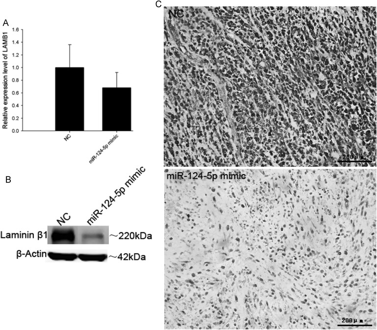 Fig. 7.