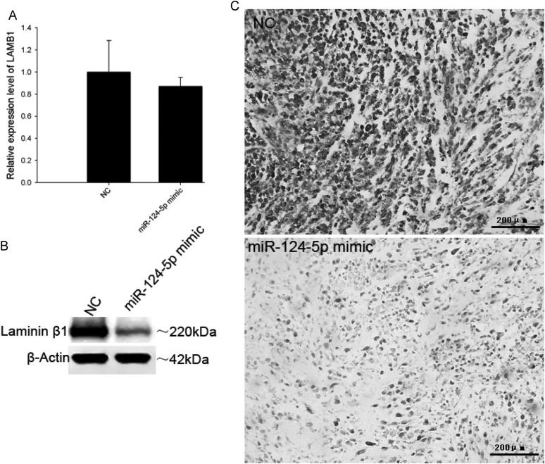 Fig. 8.