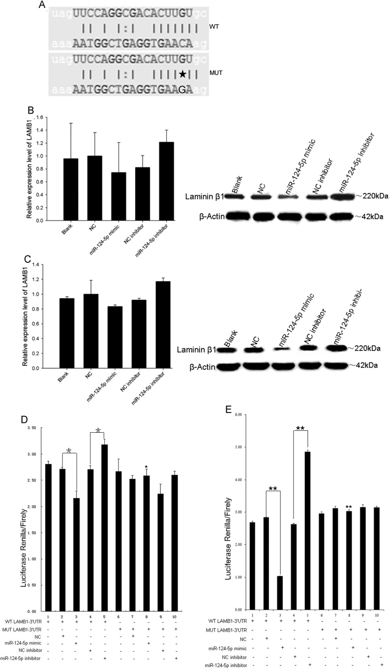 Fig. 4.