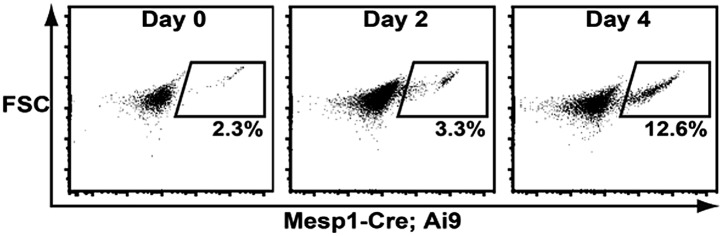 Figure 2—figure supplement 3.