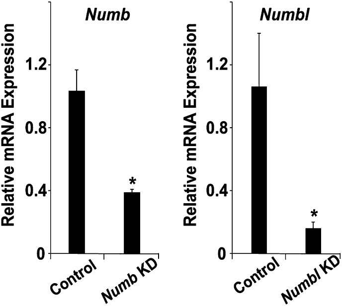 Figure 6—figure supplement 1.