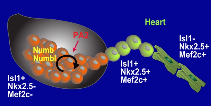 Figure 7.