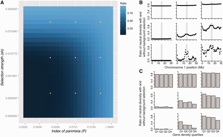 Figure 1: