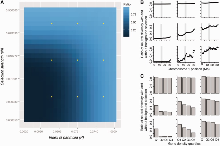 Figure 2: