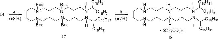 Scheme 5