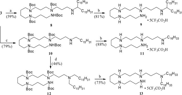 Scheme 3