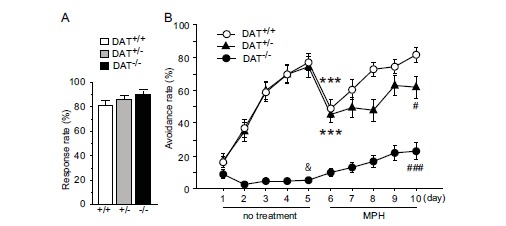 Fig. (2)