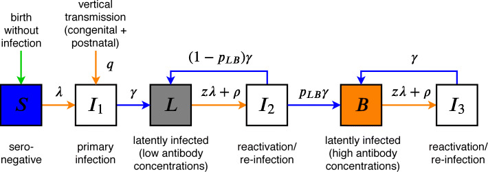 Fig. 1