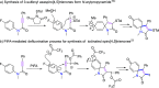 Scheme 2