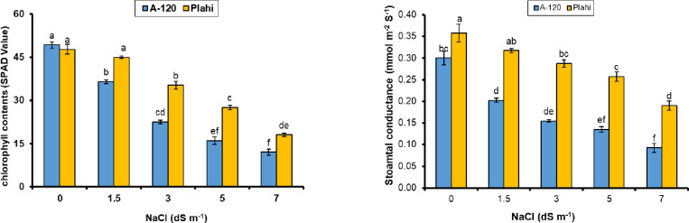 Fig 5