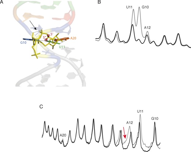 Figure 4.