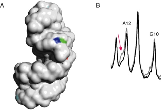 Figure 5.