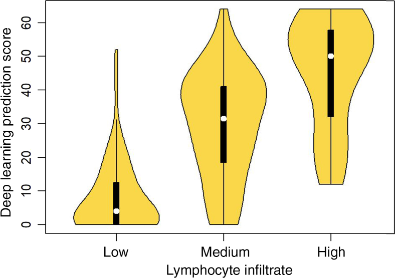 Figure 6