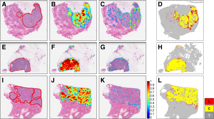 Figure 4