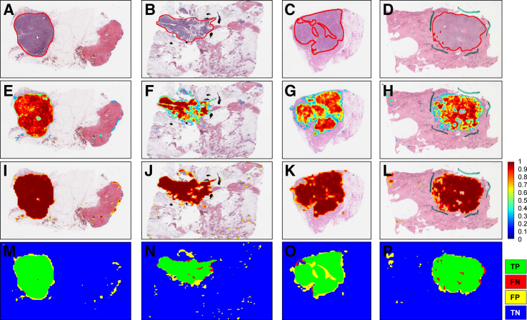 Figure 3