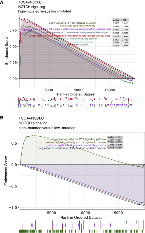 Figure 6