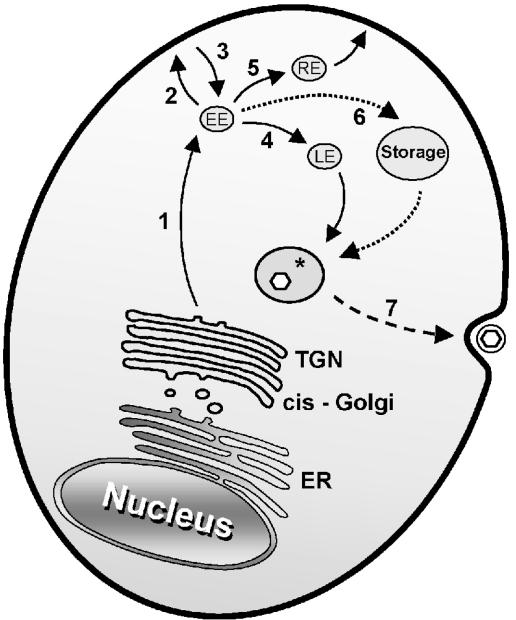 FIG. 8.