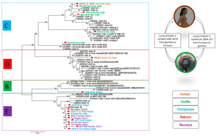 Figure 2