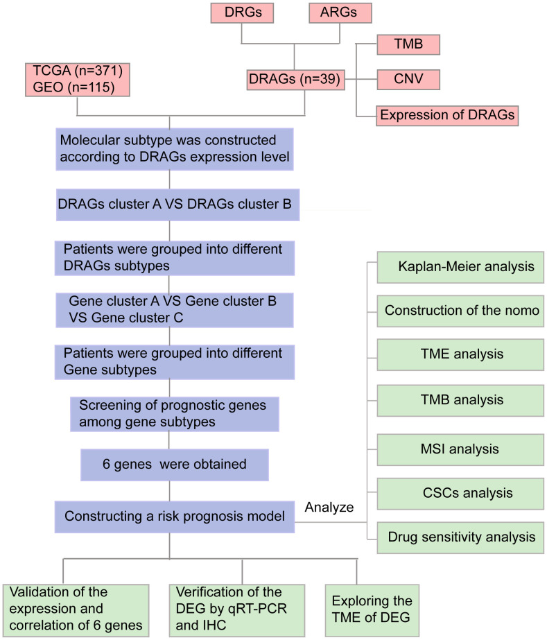 Figure 1