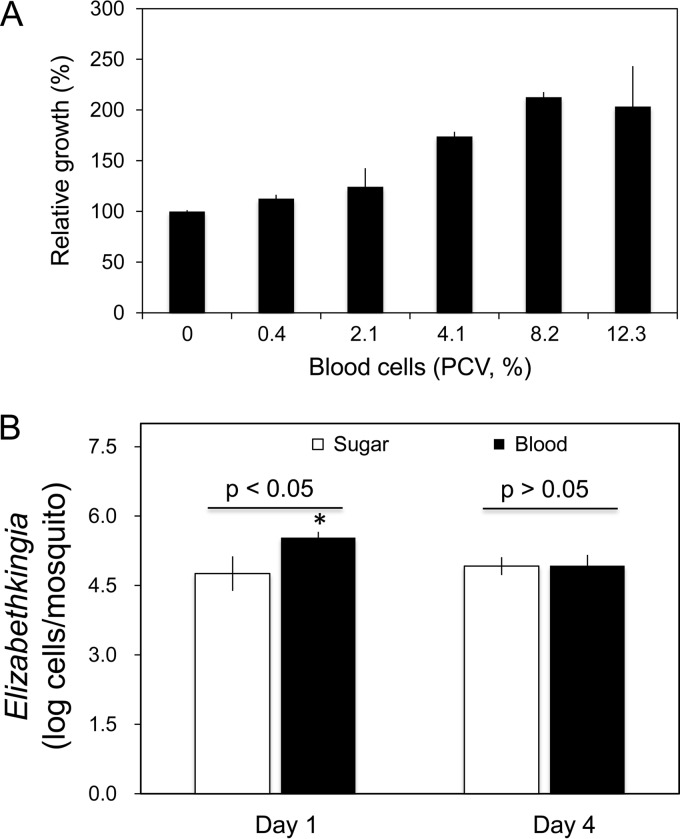 FIG 6