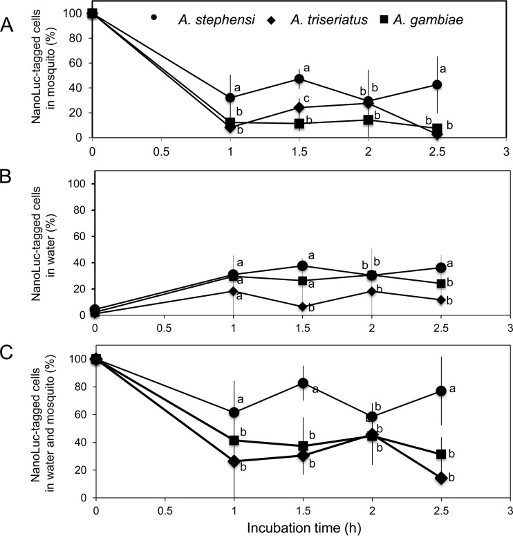 FIG 2