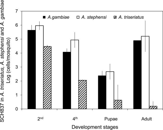 FIG 3