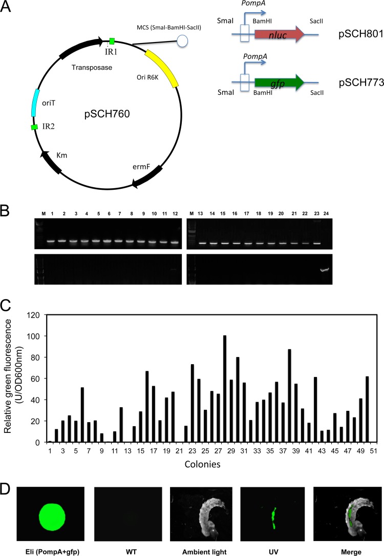 FIG 1