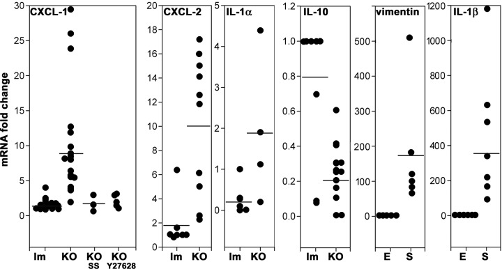 FIGURE 9: