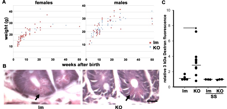 FIGURE 2: