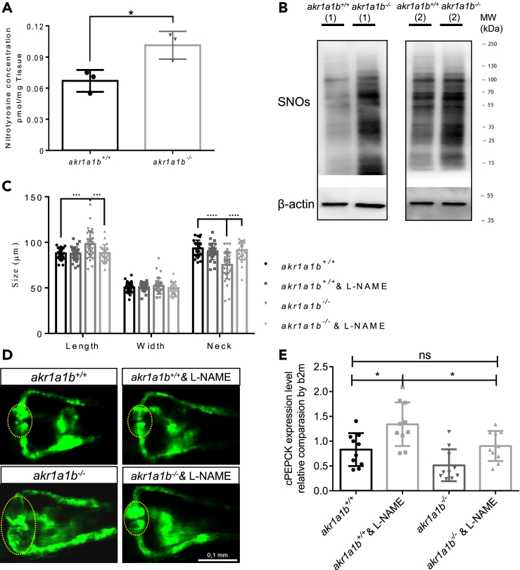 Figure 7