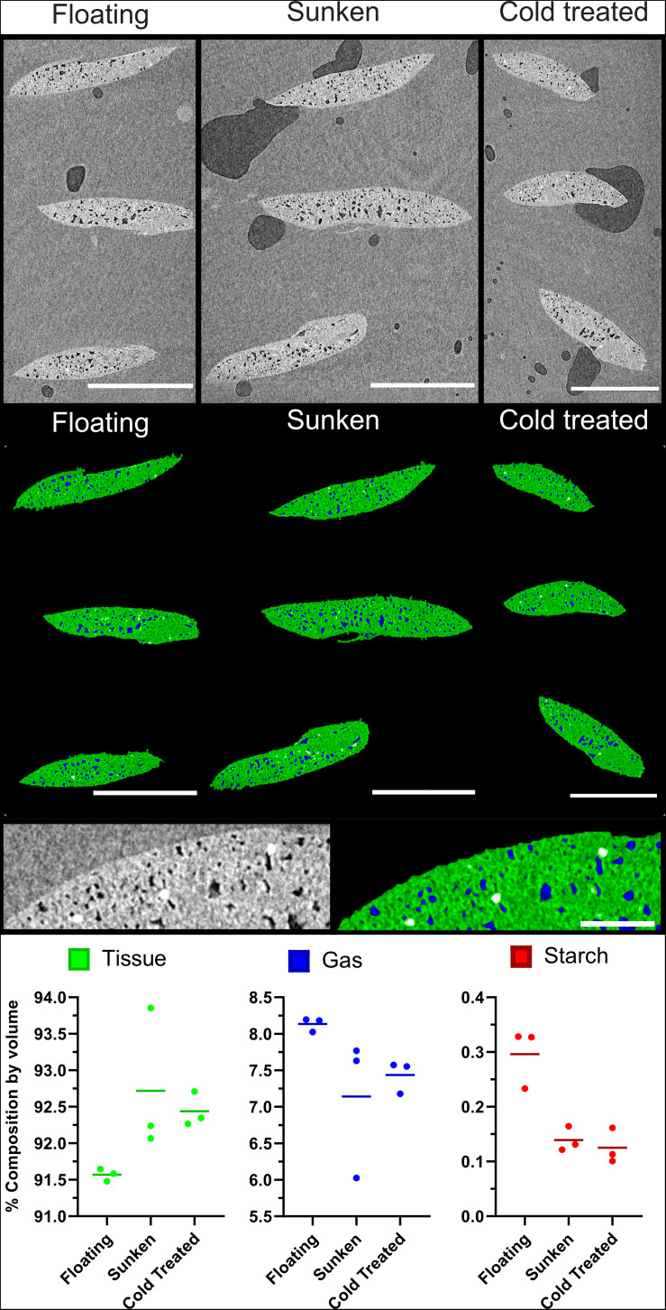 FIGURE 9