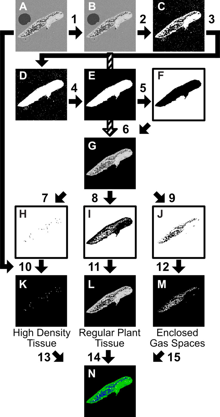 FIGURE 3