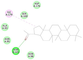 graphic file with name molecules-27-06207-i033.jpg