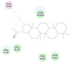 graphic file with name molecules-27-06207-i062.jpg
