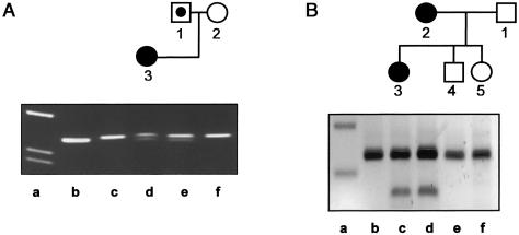 Figure  3