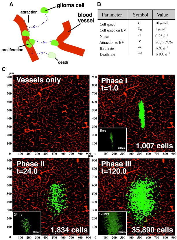 Figure 5