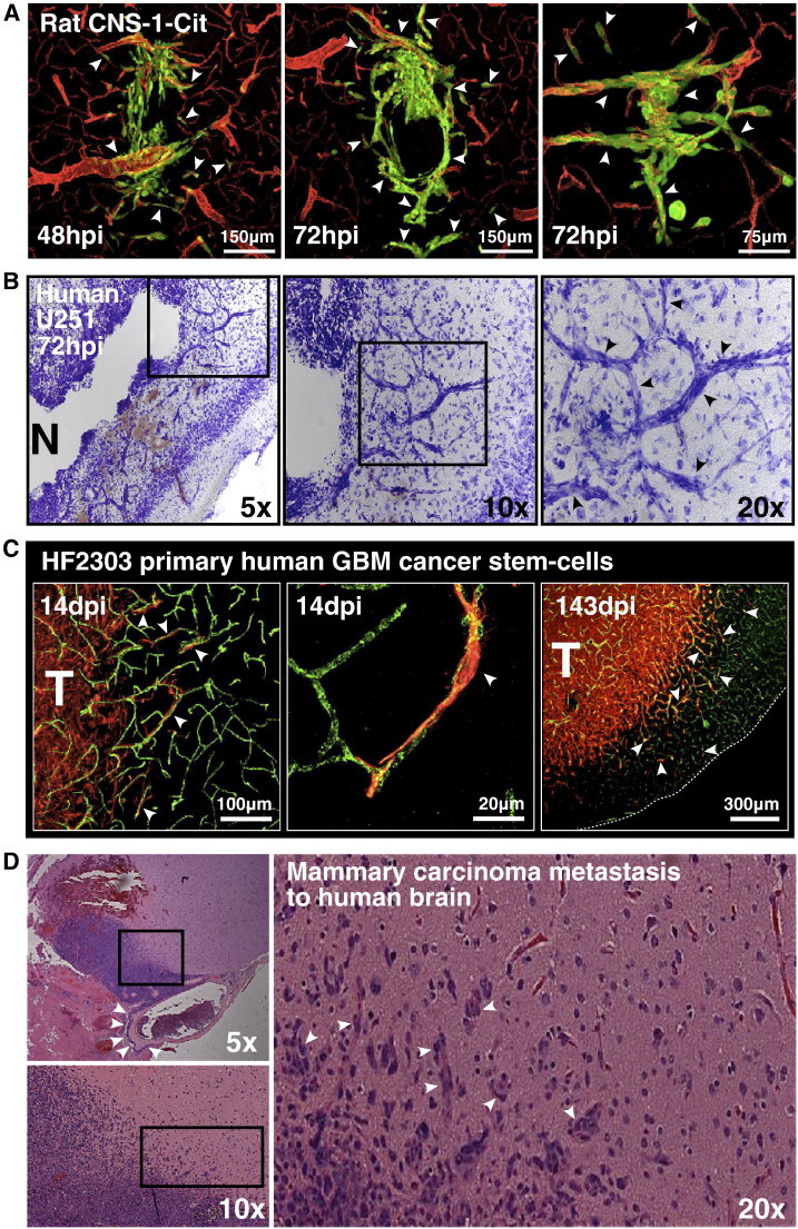 Figure 3