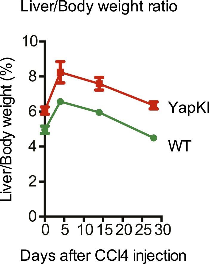 Figure 3—figure supplement 4.