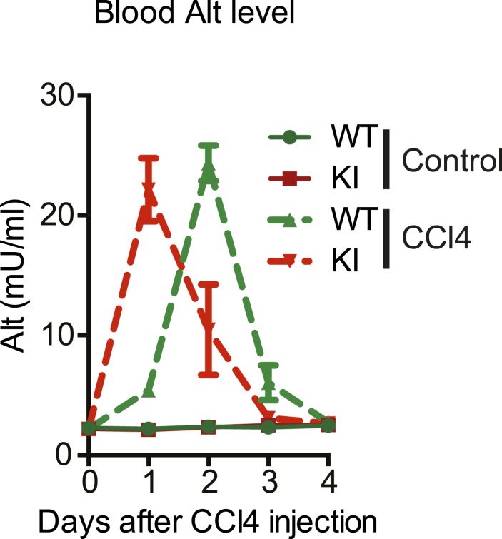 Figure 3—figure supplement 1.